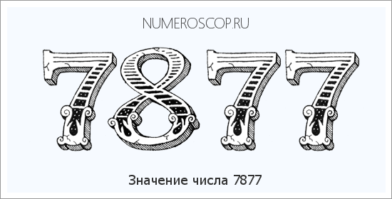 Расшифровка значения числа 7877 по цифрам в нумерологии