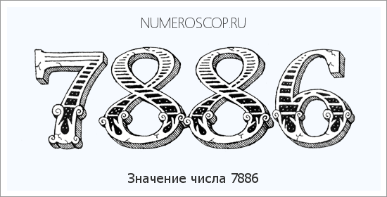 Расшифровка значения числа 7886 по цифрам в нумерологии