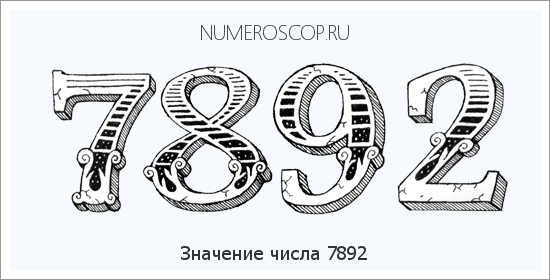 Расшифровка значения числа 7892 по цифрам в нумерологии