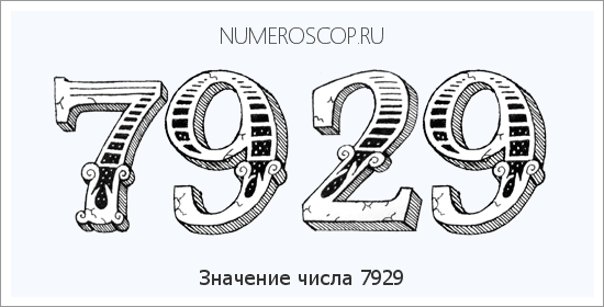 Расшифровка значения числа 7929 по цифрам в нумерологии