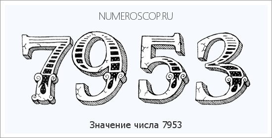 Расшифровка значения числа 7953 по цифрам в нумерологии