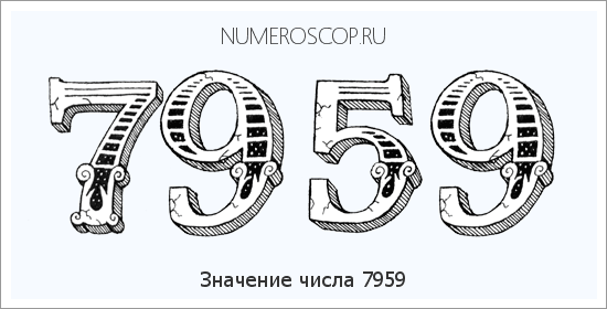 Расшифровка значения числа 7959 по цифрам в нумерологии