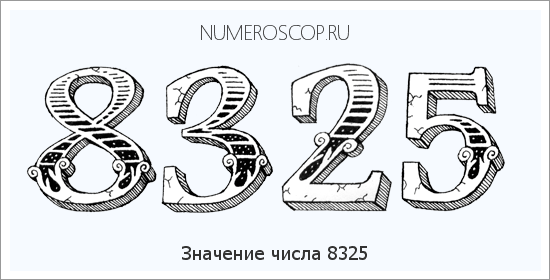 Расшифровка значения числа 8325 по цифрам в нумерологии