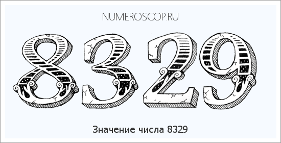 Расшифровка значения числа 8329 по цифрам в нумерологии