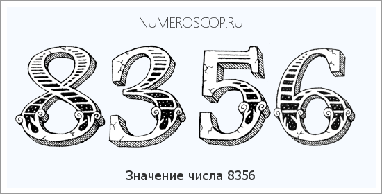 Расшифровка значения числа 8356 по цифрам в нумерологии