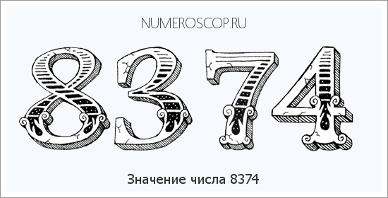 Расшифровка значения числа 8374 по цифрам в нумерологии