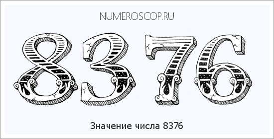 Расшифровка значения числа 8376 по цифрам в нумерологии