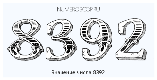 Расшифровка значения числа 8392 по цифрам в нумерологии