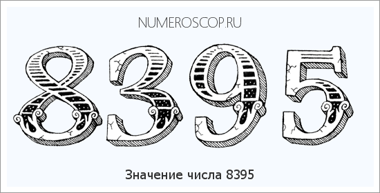 Расшифровка значения числа 8395 по цифрам в нумерологии