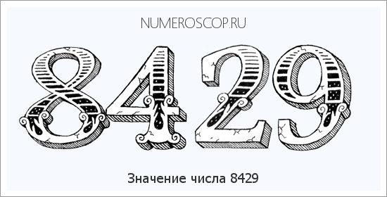 Расшифровка значения числа 8429 по цифрам в нумерологии