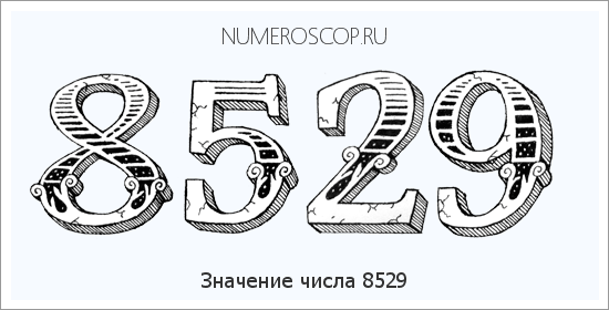 Расшифровка значения числа 8529 по цифрам в нумерологии