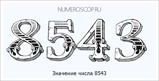 Расшифровка значения числа 8543 по цифрам в нумерологии