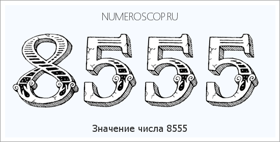 Расшифровка значения числа 8555 по цифрам в нумерологии