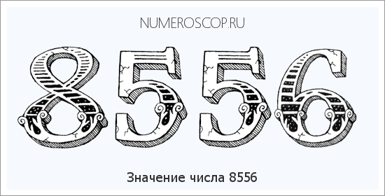 Расшифровка значения числа 8556 по цифрам в нумерологии