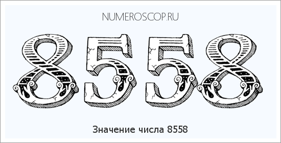 Расшифровка значения числа 8558 по цифрам в нумерологии
