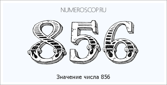 Расшифровка значения числа 856 по цифрам в нумерологии