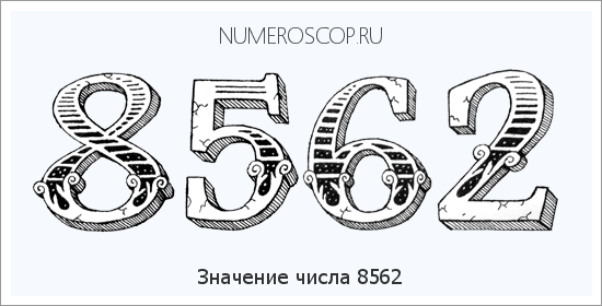 Расшифровка значения числа 8562 по цифрам в нумерологии