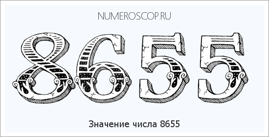 Расшифровка значения числа 8655 по цифрам в нумерологии