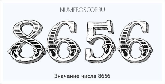 Расшифровка значения числа 8656 по цифрам в нумерологии