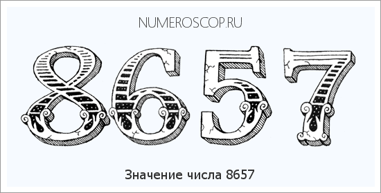 Расшифровка значения числа 8657 по цифрам в нумерологии