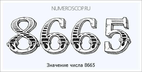 Расшифровка значения числа 8665 по цифрам в нумерологии