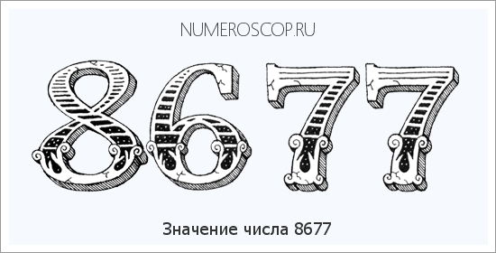 Расшифровка значения числа 8677 по цифрам в нумерологии
