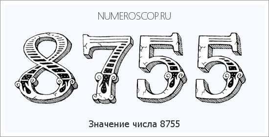 Расшифровка значения числа 8755 по цифрам в нумерологии