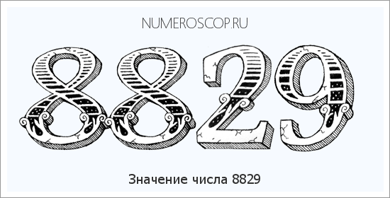 Расшифровка значения числа 8829 по цифрам в нумерологии