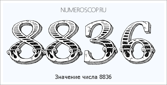 Расшифровка значения числа 8836 по цифрам в нумерологии