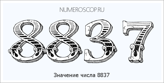 Расшифровка значения числа 8837 по цифрам в нумерологии