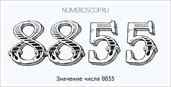 Расшифровка значения числа 8855 по цифрам в нумерологии