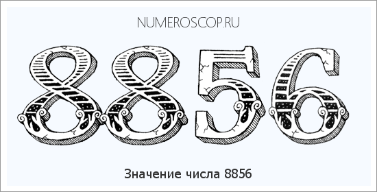 Расшифровка значения числа 8856 по цифрам в нумерологии