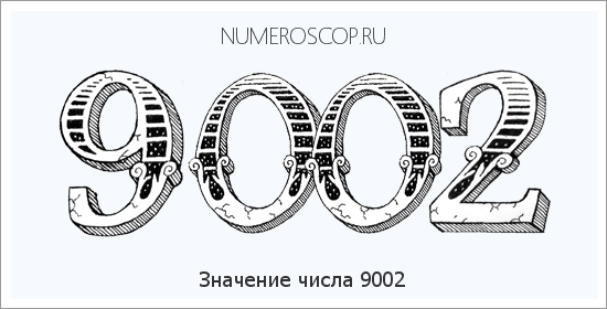 Расшифровка значения числа 9002 по цифрам в нумерологии