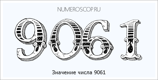 Расшифровка значения числа 9061 по цифрам в нумерологии