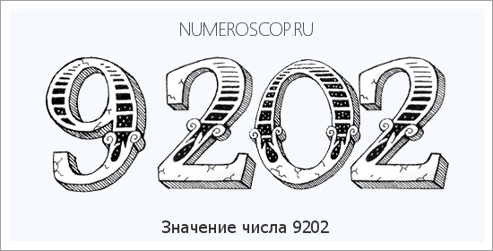 Расшифровка значения числа 9202 по цифрам в нумерологии