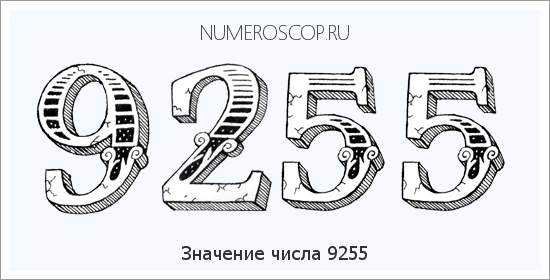 Расшифровка значения числа 9255 по цифрам в нумерологии