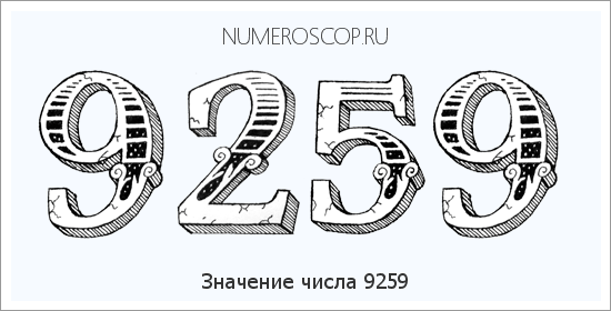 Расшифровка значения числа 9259 по цифрам в нумерологии