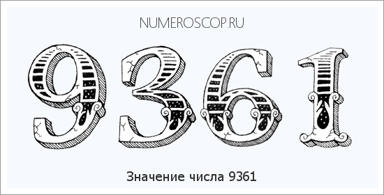 Расшифровка значения числа 9361 по цифрам в нумерологии