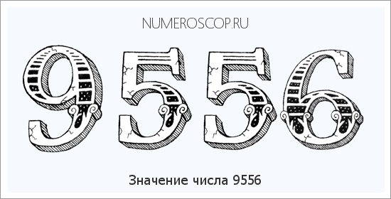 Расшифровка значения числа 9556 по цифрам в нумерологии