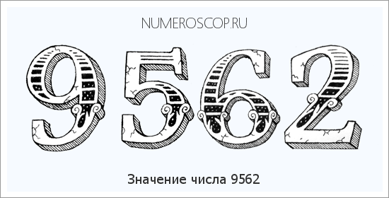 Расшифровка значения числа 9562 по цифрам в нумерологии