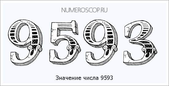 Расшифровка значения числа 9593 по цифрам в нумерологии