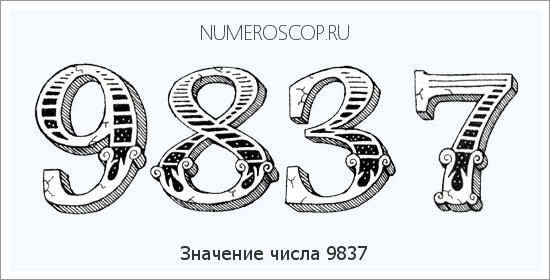 Расшифровка значения числа 9837 по цифрам в нумерологии