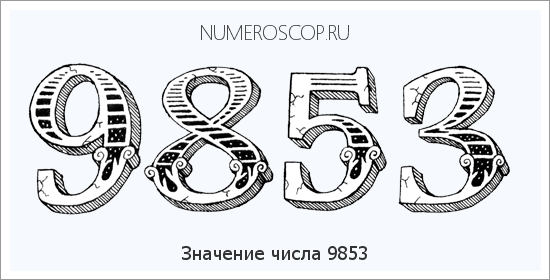 Расшифровка значения числа 9853 по цифрам в нумерологии