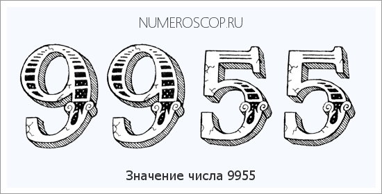 Расшифровка значения числа 9955 по цифрам в нумерологии